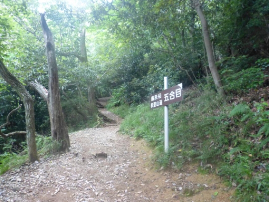 画像36